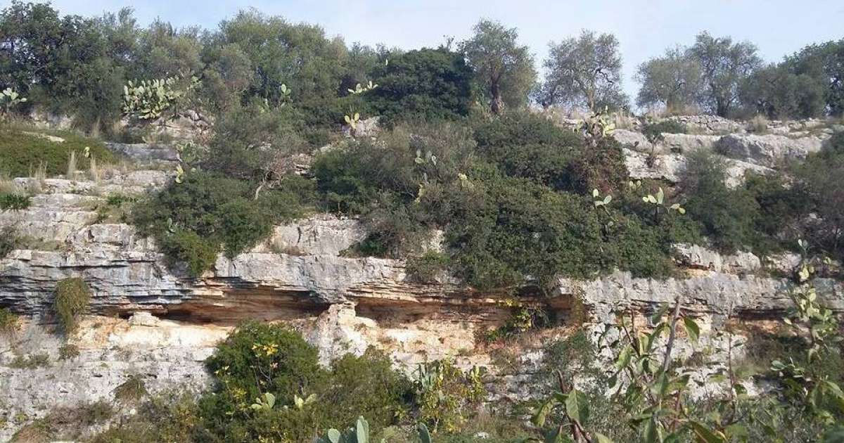 Lama San Giorgio: grotte, natura selvaggia e ripide strade. A due passi da Bari